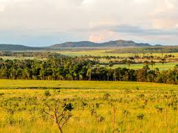 🏘️ Cascavel x Campo Mourão – Onde devo morar?