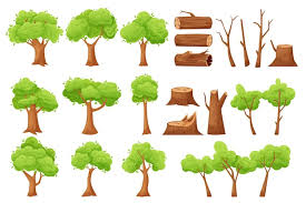 🌱 O Pilar Invisível da Natureza