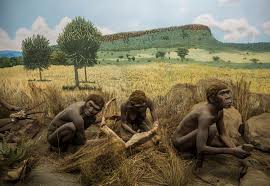 Homo Sapiens - Construindo