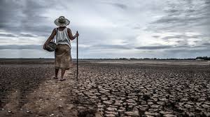 Mobilidade Geográfica no Brasil: Por Que Nos Mudamos Menos do Que Europeus e Americanos?