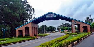 PEDREGULHO x PINHALZINHO: QUAL A MELHOR OPÇÃO?