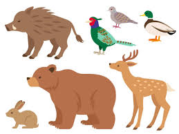 SIKAFILL RAPIDO x SIKAFILL REFLEX PRO x SIKALASTIC