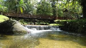 📊 Comparativo de Preços: Pontal x São Manoel